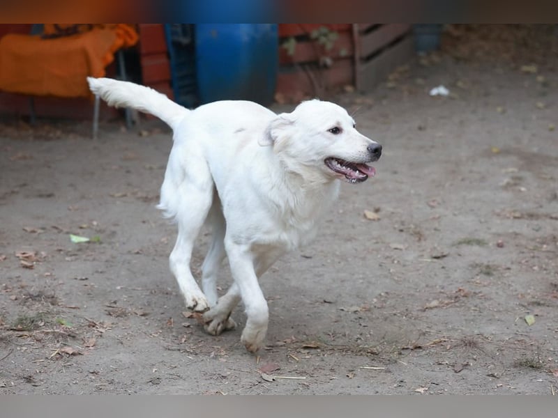 Update Sunny : Auf PS in 42799 Leichlingen