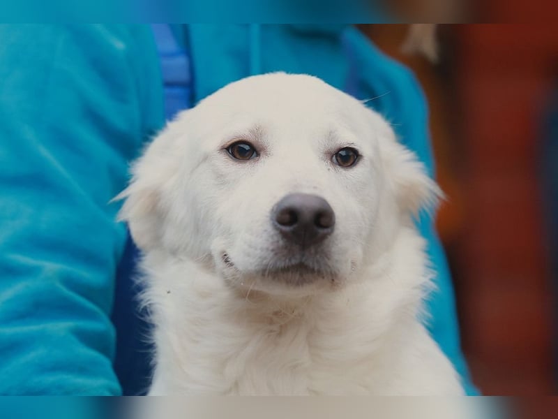 Update Sunny : Auf PS in 42799 Leichlingen