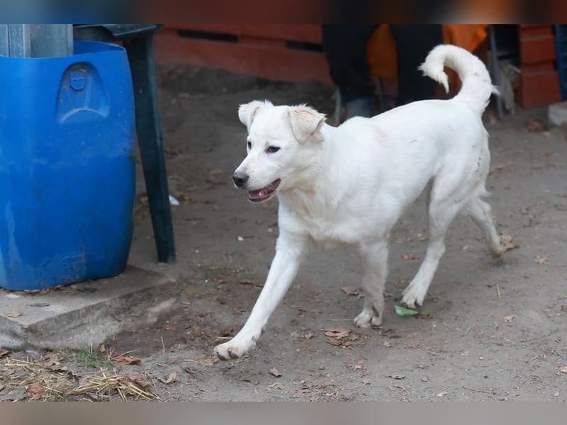 Update Sunny : Auf PS in 42799 Leichlingen