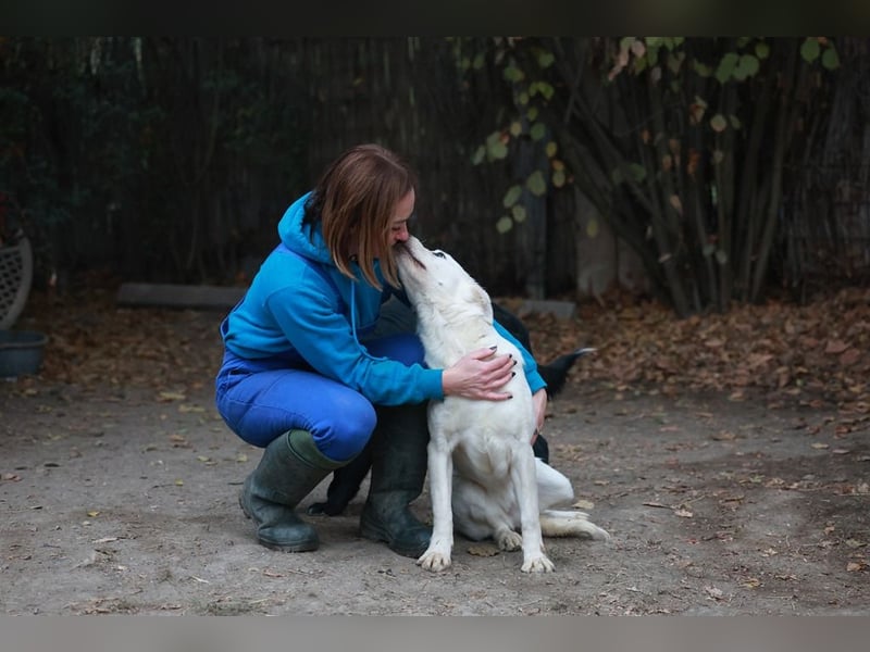 Update Sunny : Auf PS in 42799 Leichlingen