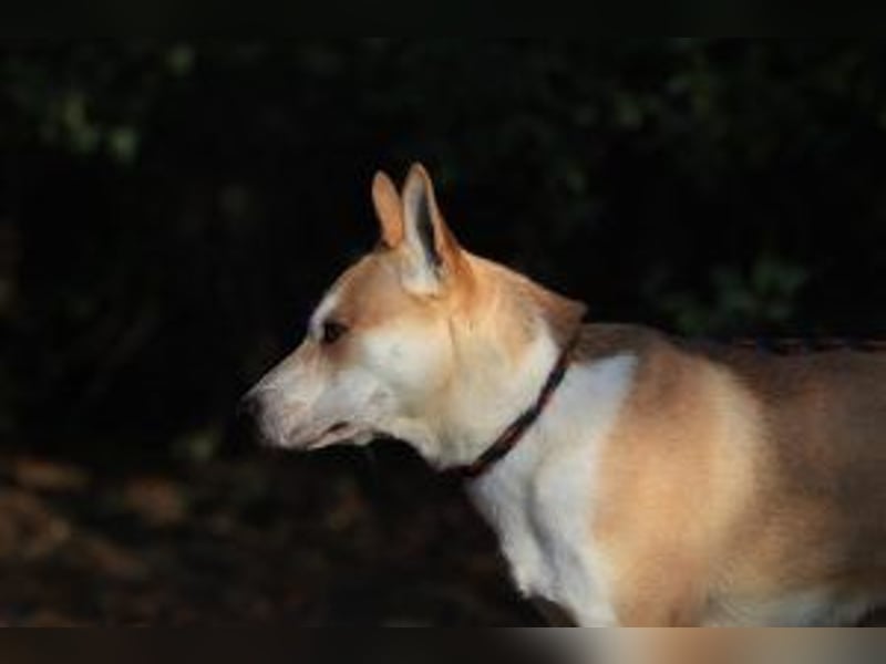 Rohdiamant Yaro wartet auf sein Zuhause