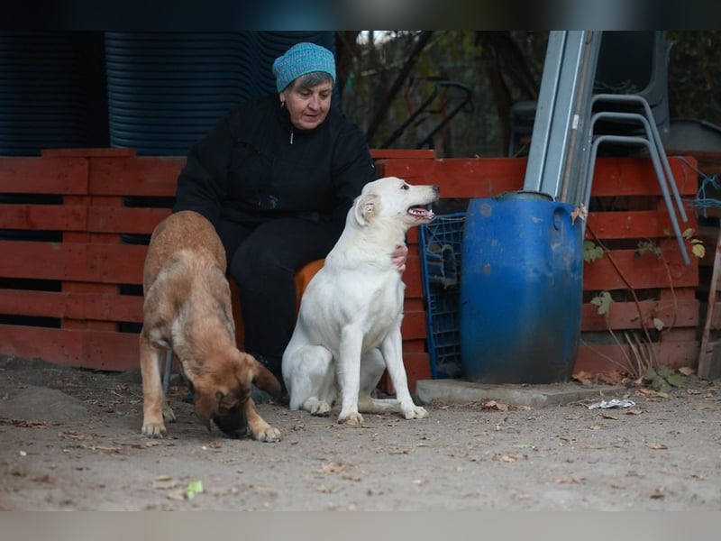 Update Sunny : Auf PS in 42799 Leichlingen