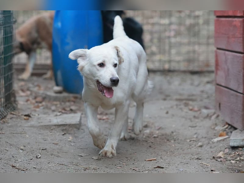 Update Sunny : Auf PS in 42799 Leichlingen