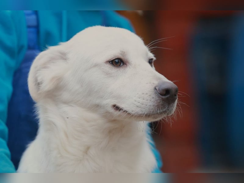 Update Sunny : Auf PS in 42799 Leichlingen