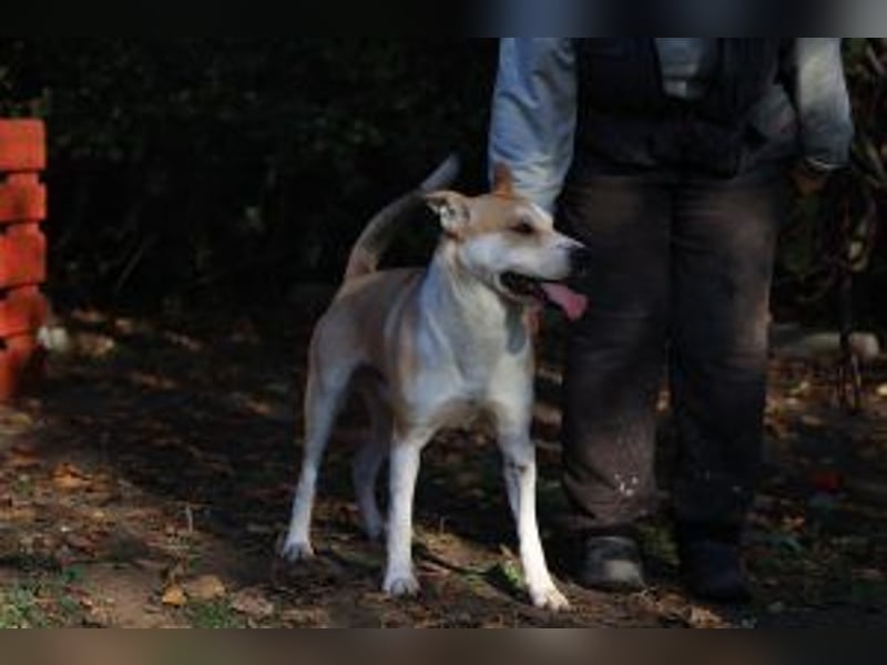 Rohdiamant Yaro wartet auf sein Zuhause
