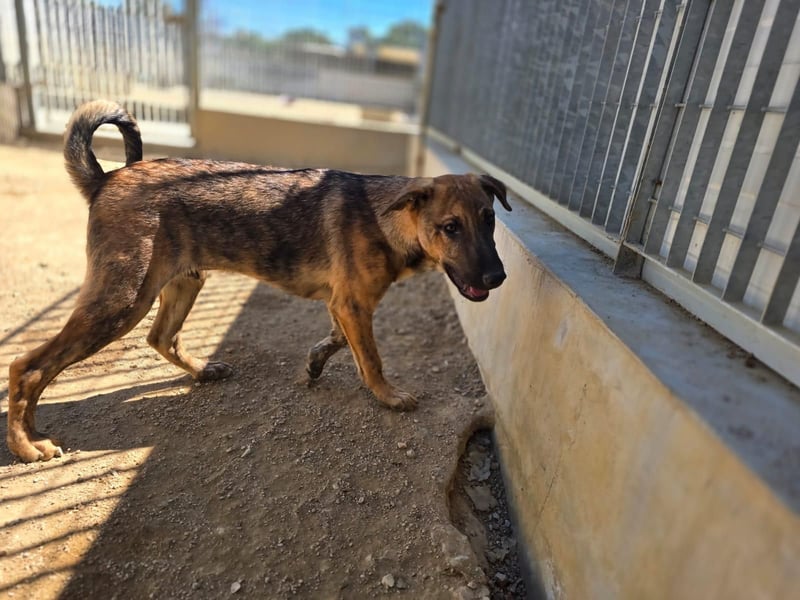 Diego:etwas schüchtern,aber voller Liebe