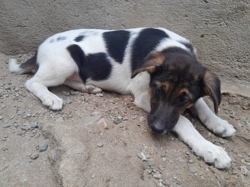 Mela:“ Gibt es für mich eine liebevolle Familie?“