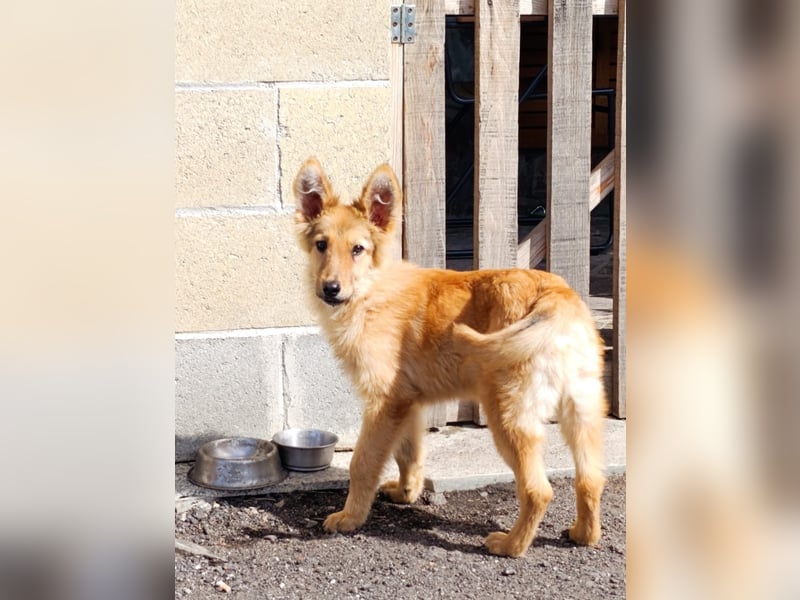 Pablo Plüschohr : „NACH HAUSE!“ Pablo Plüschohr : „NACH HAUSE!“