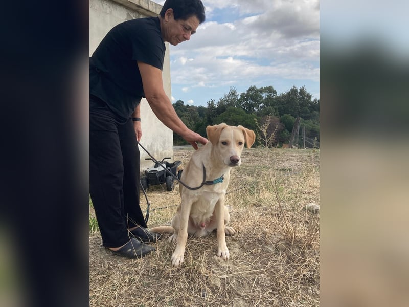 Mike- möchte einfach nur nach Hause