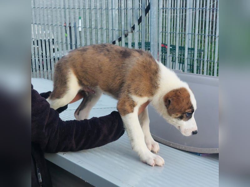 Dragoow - auf ins neue Leben!