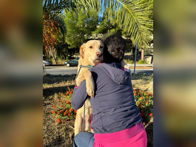 Mike- möchte einfach nur nach Hause