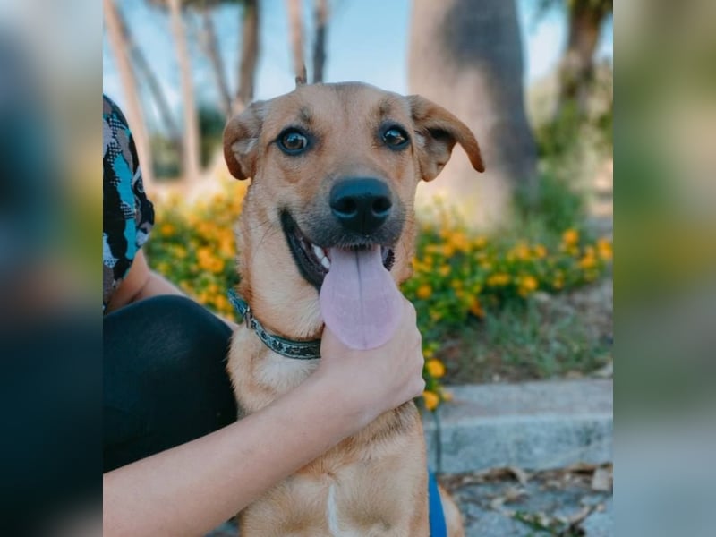 Iris:“ Und wann bekomme ich eine richtig gute Kinderstube?“