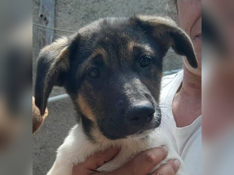 Mela:“ Gibt es für mich eine liebevolle Familie?“