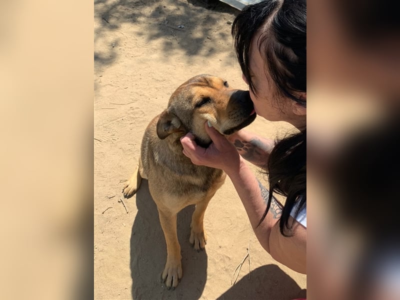 Terry:“Jetzt werde ich auch Familienhund?“