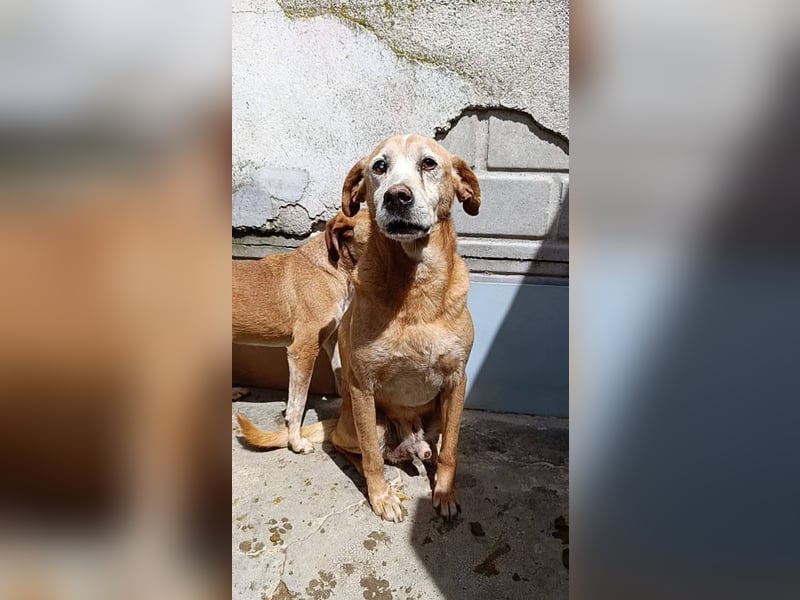 Jack Sparrow – endlich das Leben zurückgeschenkt bekommen!