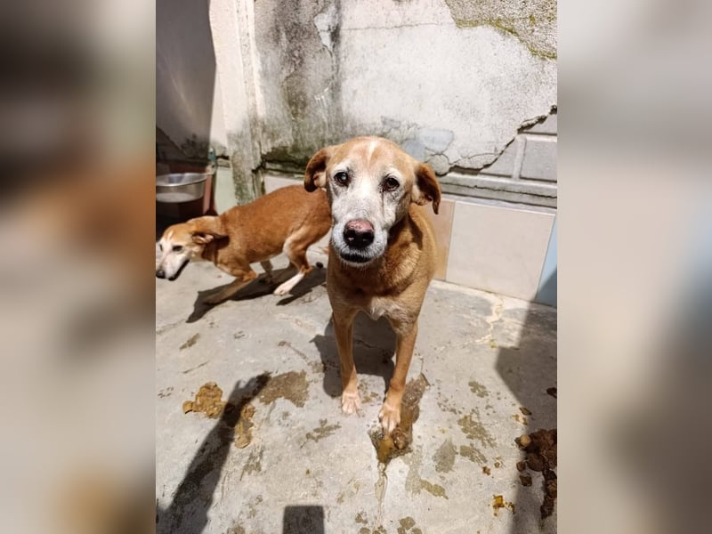 Jack Sparrow – endlich das Leben zurückgeschenkt bekommen!