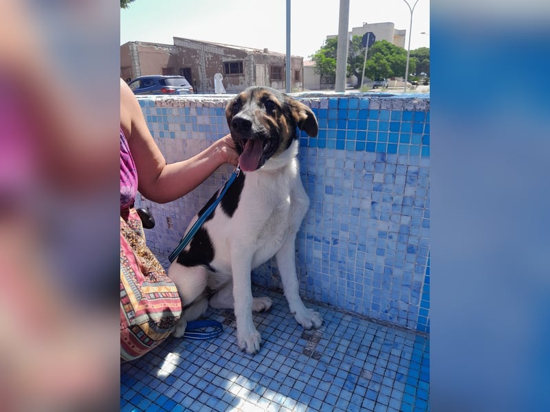 Mela:“ Gibt es für mich eine liebevolle Familie?“