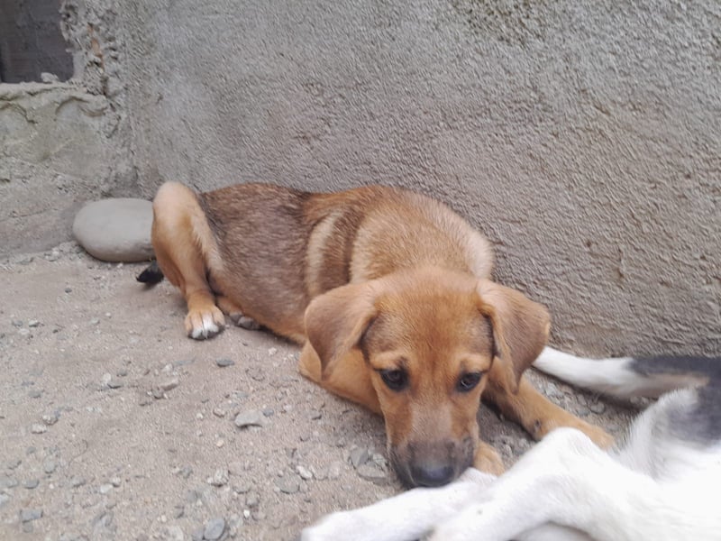 Iris:“ Und wann bekomme ich eine richtig gute Kinderstube?“