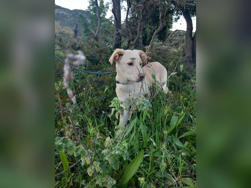 Mike- möchte einfach nur nach Hause