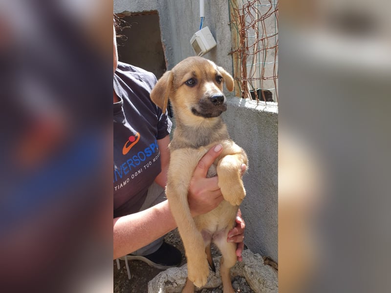 Iris:“ Und wann bekomme ich eine richtig gute Kinderstube?“