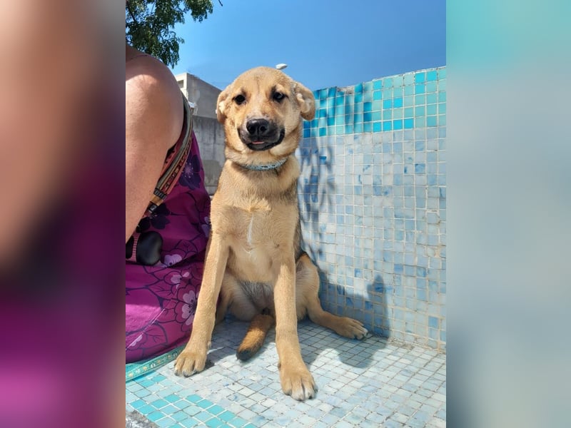 Iris:“ Und wann bekomme ich eine richtig gute Kinderstube?“