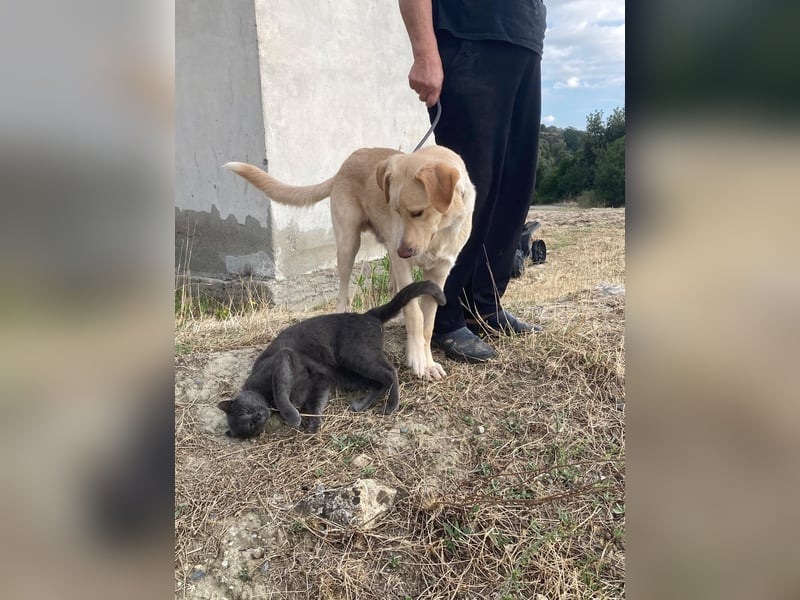 Mike- möchte einfach nur nach Hause