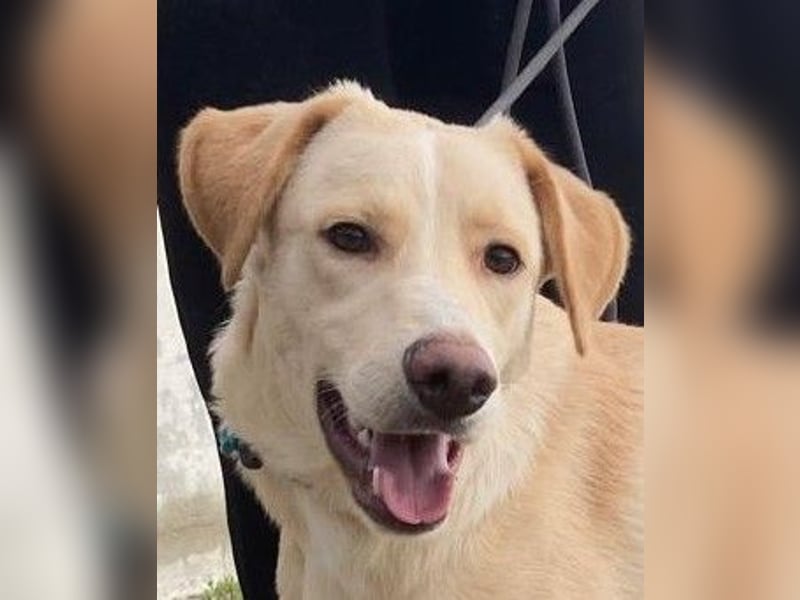 Mike- möchte einfach nur nach Hause