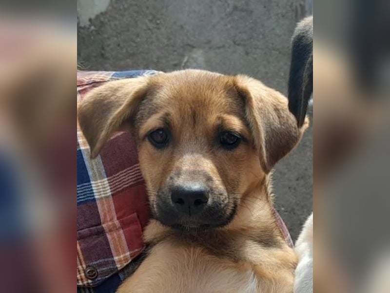 Iris:“ Und wann bekomme ich eine richtig gute Kinderstube?“