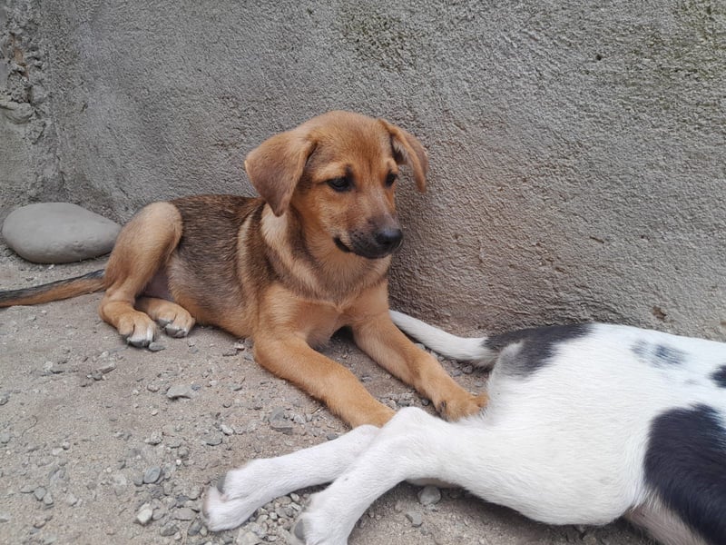 Iris:“ Und wann bekomme ich eine richtig gute Kinderstube?“