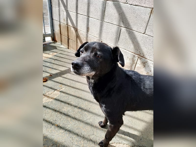 Black…….. is’ beautiful!