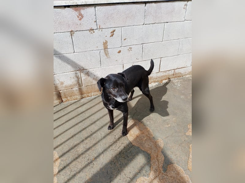 Black…….. is’ beautiful!