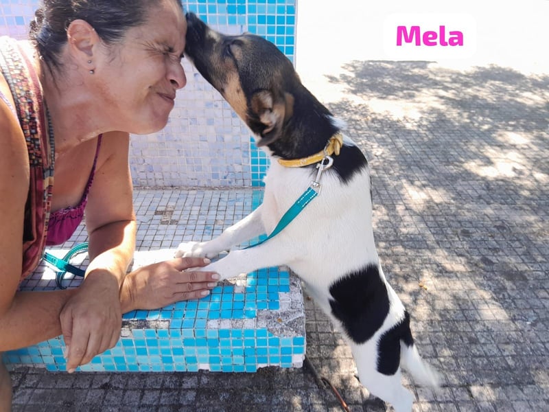 Mela:“ Gibt es für mich eine liebevolle Familie?“