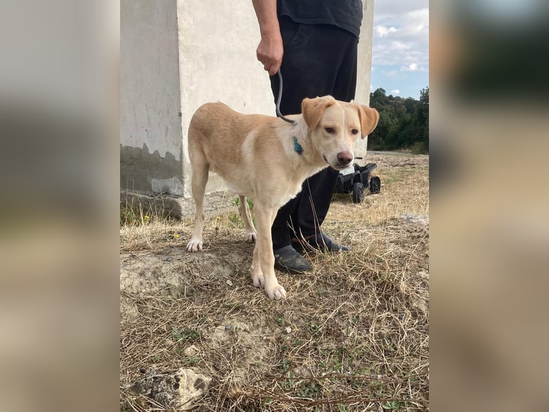 Mike- möchte einfach nur nach Hause