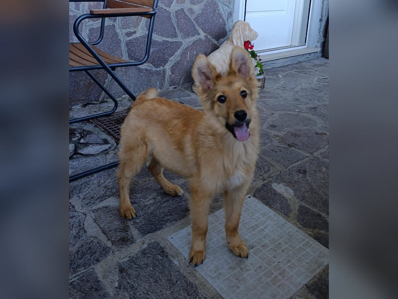 Pablo Plüschohr : „NACH HAUSE!“ Pablo Plüschohr : „NACH HAUSE!“