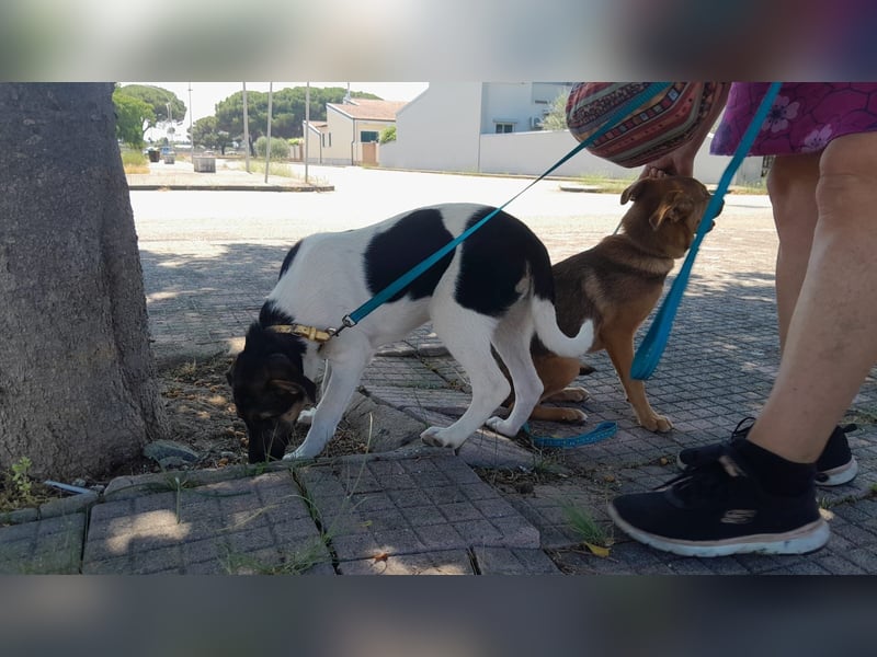 Mela:“ Gibt es für mich eine liebevolle Familie?“