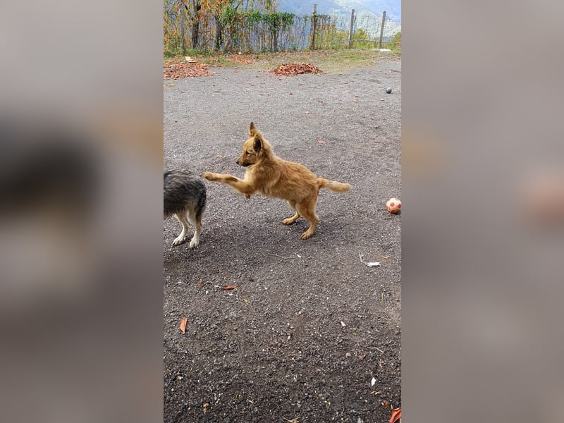 Pablo Plüschohr : „NACH HAUSE!“ Pablo Plüschohr : „NACH HAUSE!“