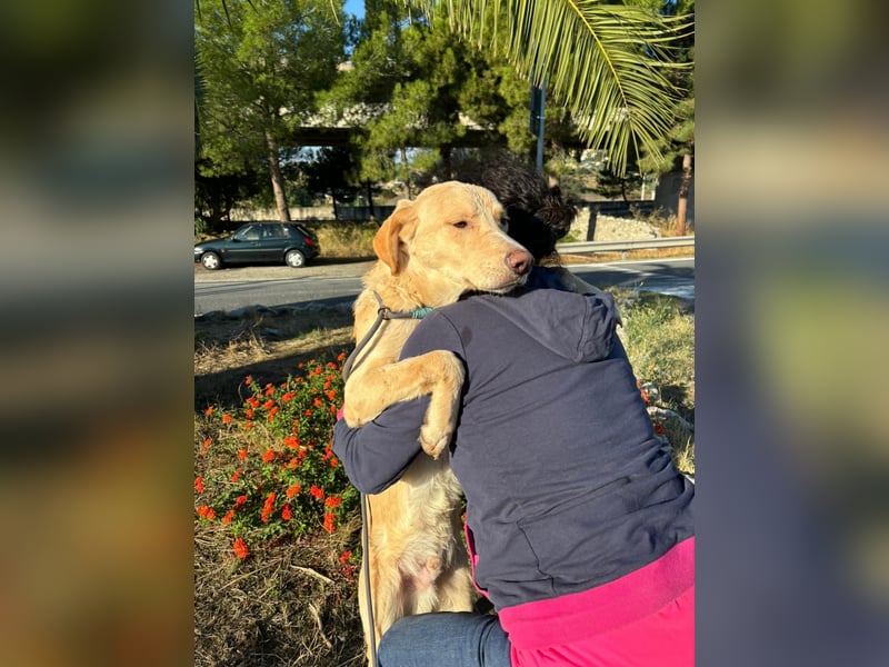 Mike- möchte einfach nur nach Hause