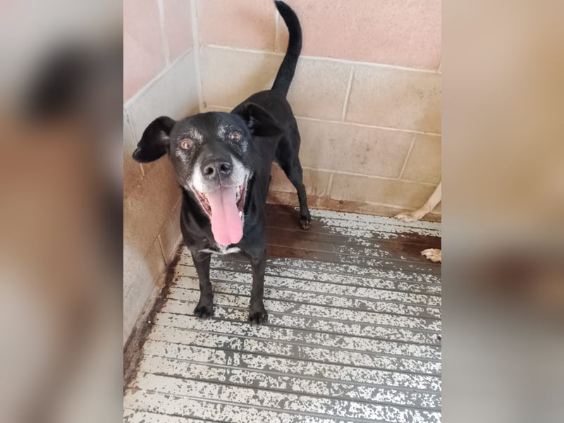 Black…….. is’ beautiful!