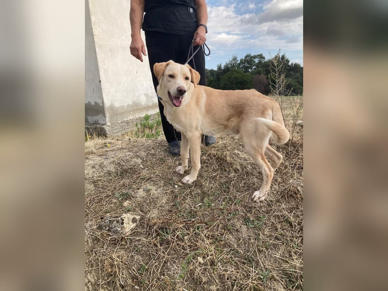 Mike- möchte einfach nur nach Hause