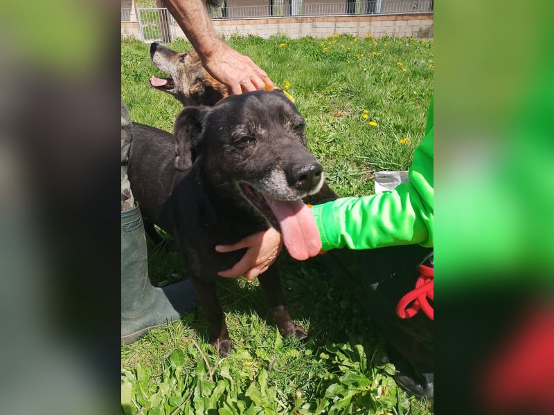 Black…….. is’ beautiful!