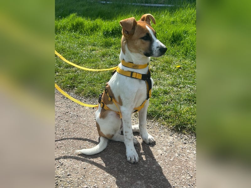 Pedro – Bereit für eine familiäre Zukunft -