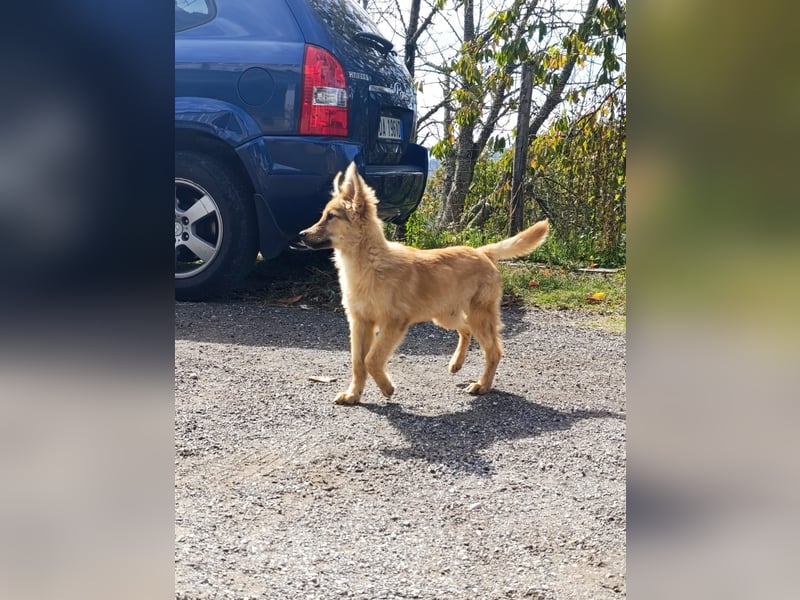 Pablo Plüschohr : „NACH HAUSE!“ Pablo Plüschohr : „NACH HAUSE!“