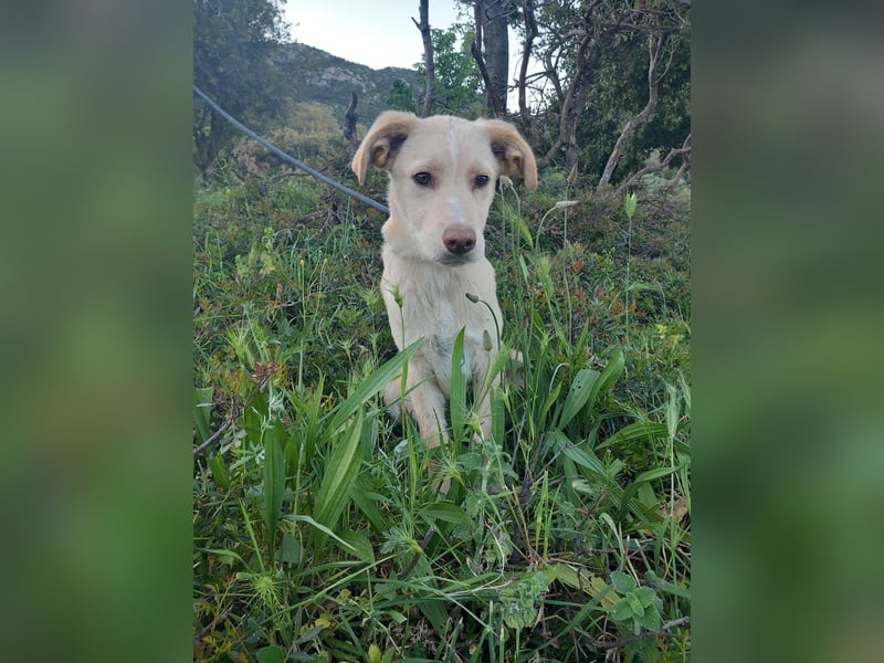 Mike- möchte einfach nur nach Hause