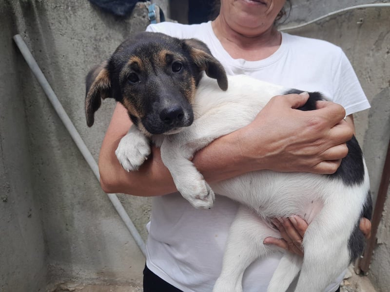 Mela:“ Gibt es für mich eine liebevolle Familie?“