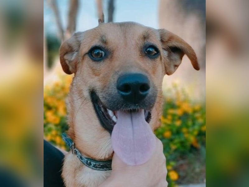 Iris:“ Und wann bekomme ich eine richtig gute Kinderstube?“