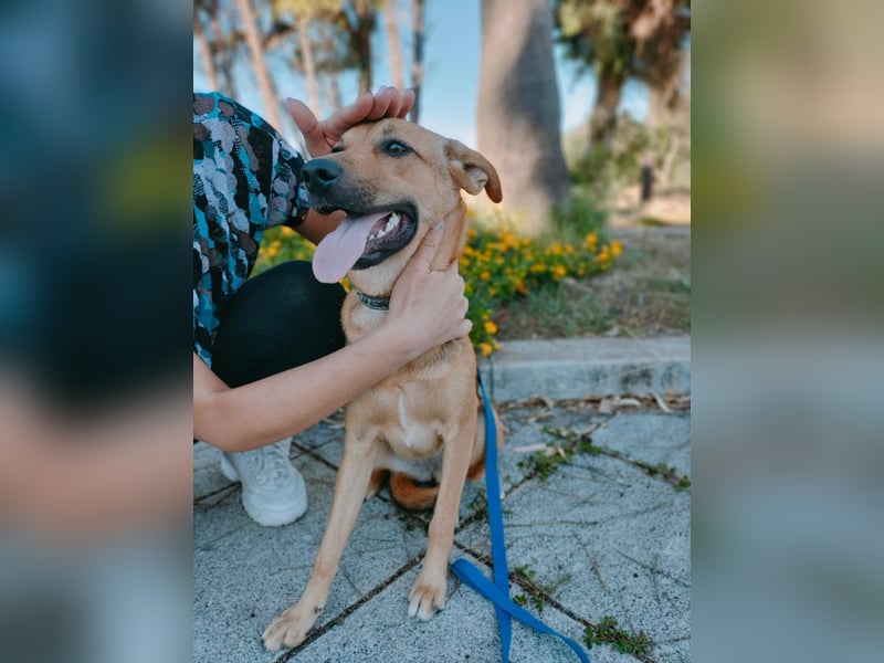 Iris:“ Und wann bekomme ich eine richtig gute Kinderstube?“