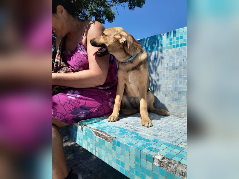 Iris:“ Und wann bekomme ich eine richtig gute Kinderstube?“