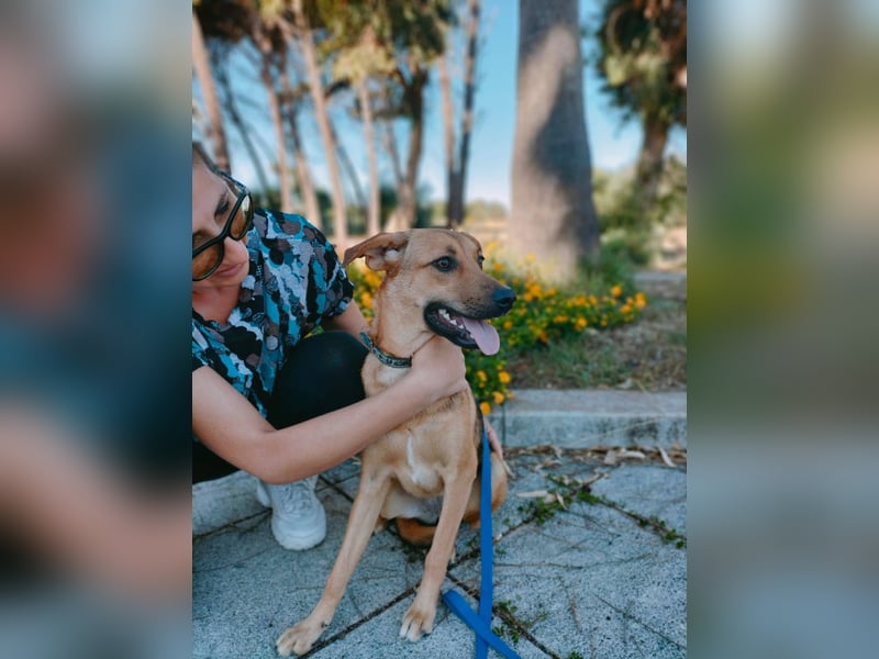 Iris:“ Und wann bekomme ich eine richtig gute Kinderstube?“