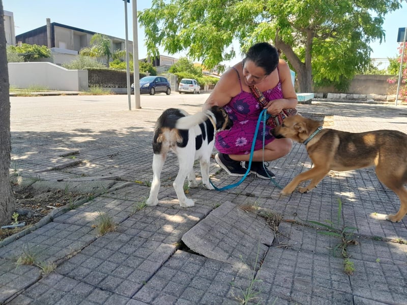 Iris:“ Und wann bekomme ich eine richtig gute Kinderstube?“