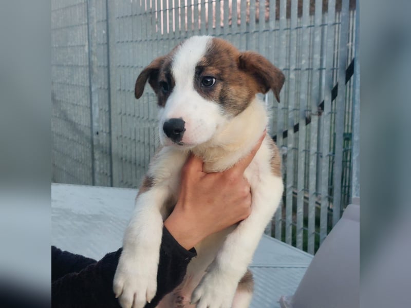 Dragoow - auf ins neue Leben!